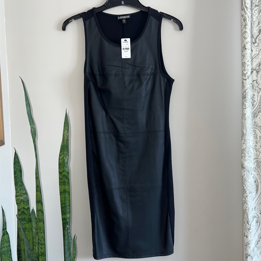 Express Faux leather dress